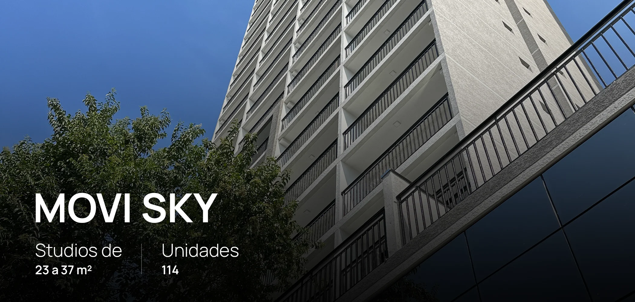 MOVI SKY DESKTOP 5 HOME